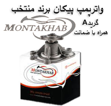 واتر پمپ پیکان با واشر برند منتخب